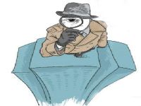 信阳市取证公司解说第三者承担离婚赔偿责任吗